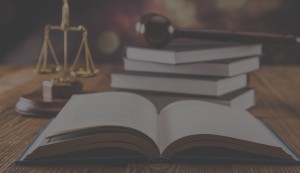 About Beelaw