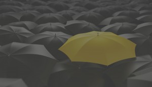 BEE Law umbrella